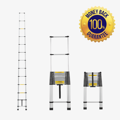 Telescopic Ladder